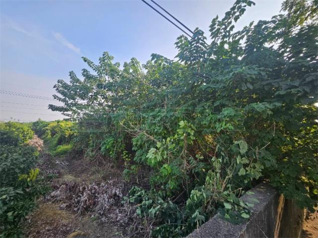 高雄大樹農地-5