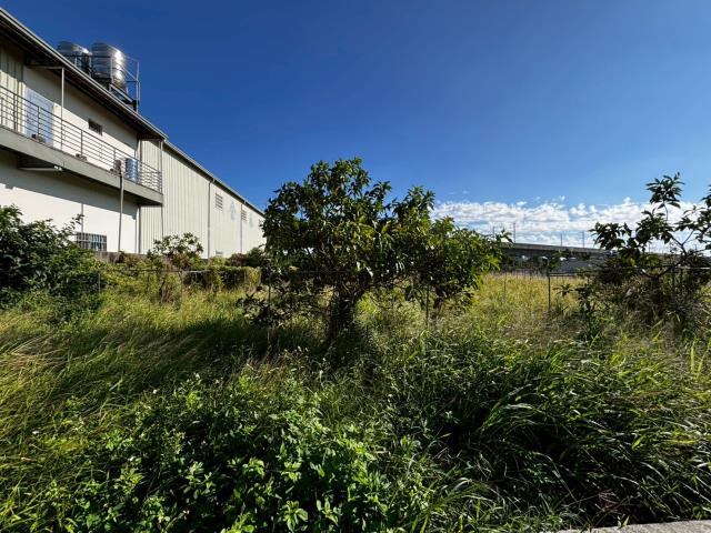 台中神岡農地-2