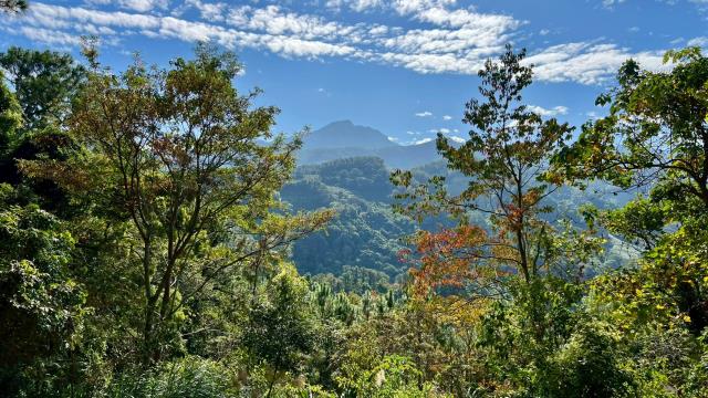 新竹北埔山坡地-10