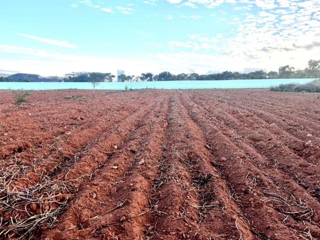 台中大雅農地-0