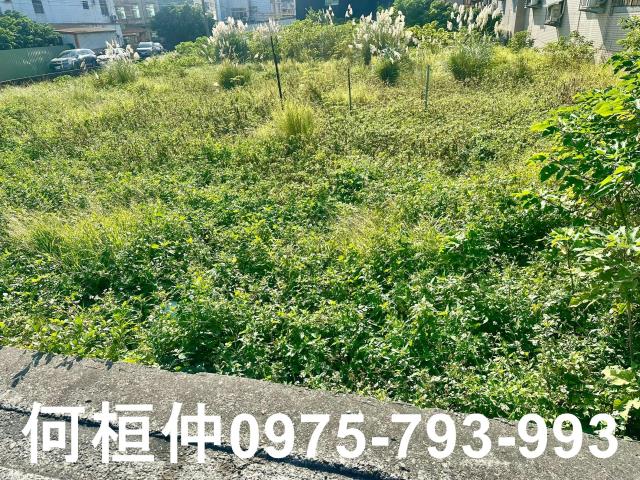 頭份建地頭份市區土地大面寬店面地