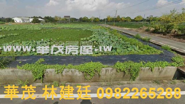 官田法拍農地-0