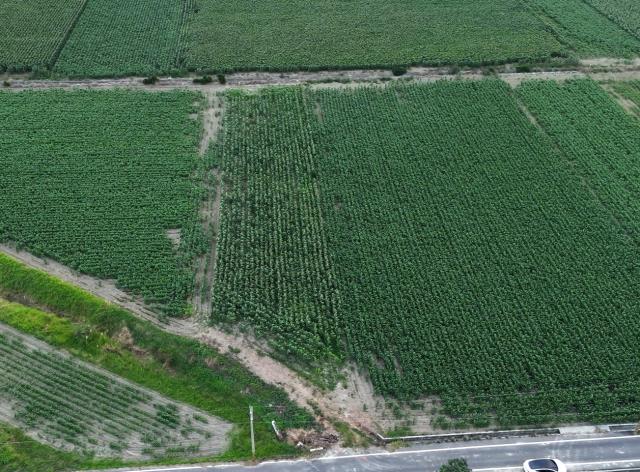 鹽水超值17分農保地