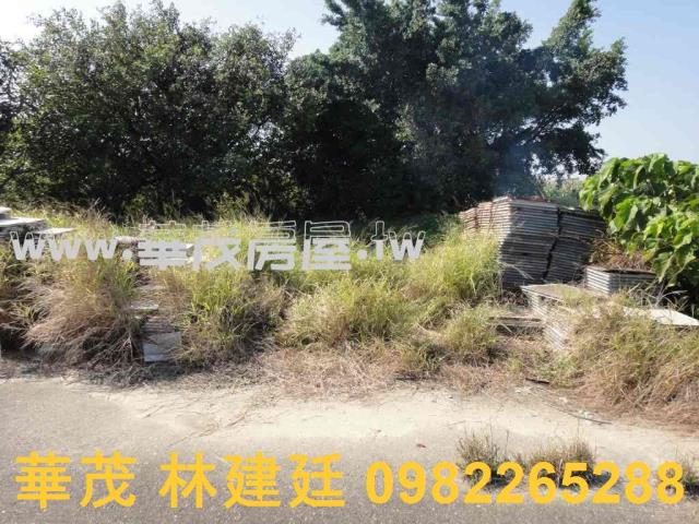 將軍法拍農地-9