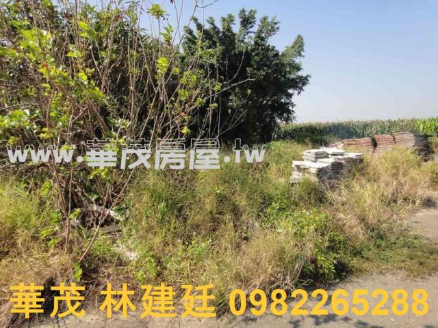 將軍法拍農地-10