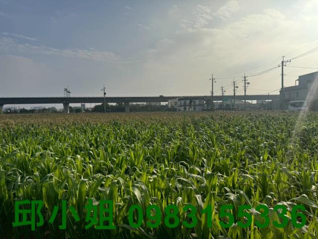 嘉義買房賣房房地合一稅建地農地