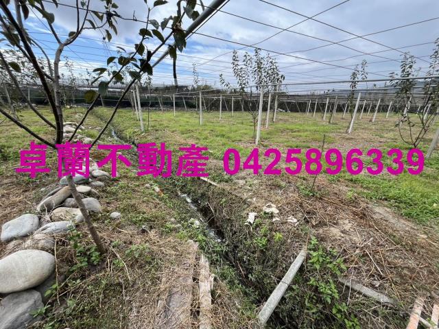 苗栗卓蘭農地-4