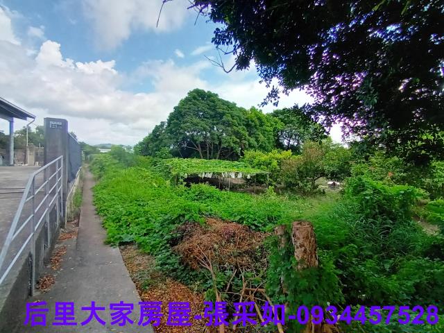 所種植的農作物