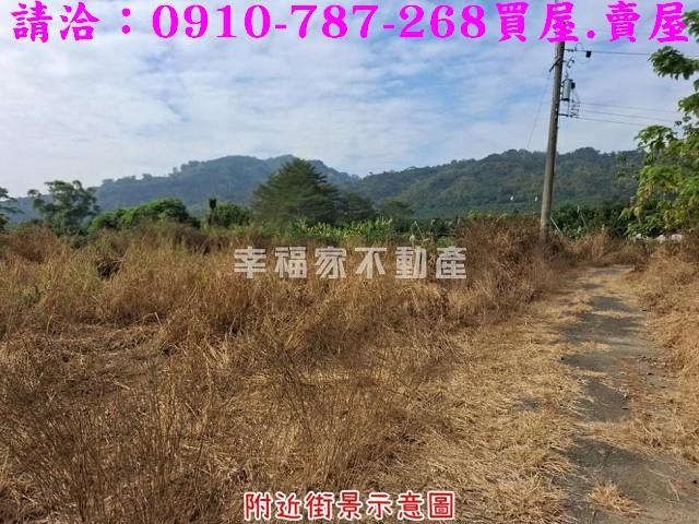 台南楠西農地-4