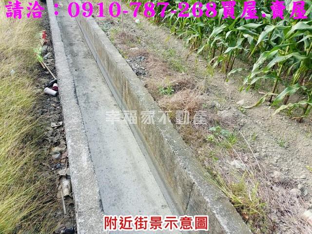 台南西港農地-5