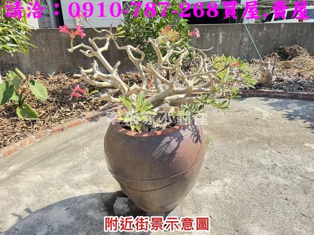 台南麻豆農地-7