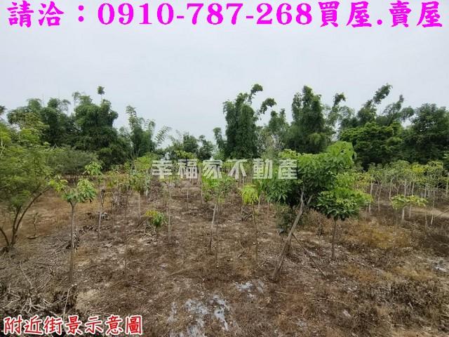 台南新市農地-12