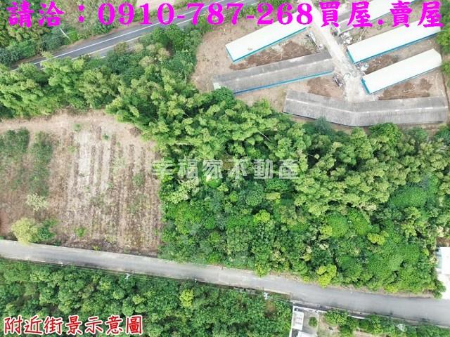 台南新市農地-3