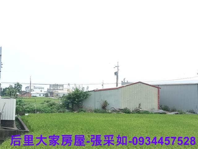 苗栗苑裡農地-0