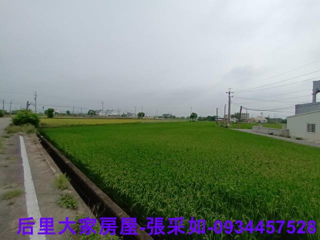 苗栗苑裡農地-0