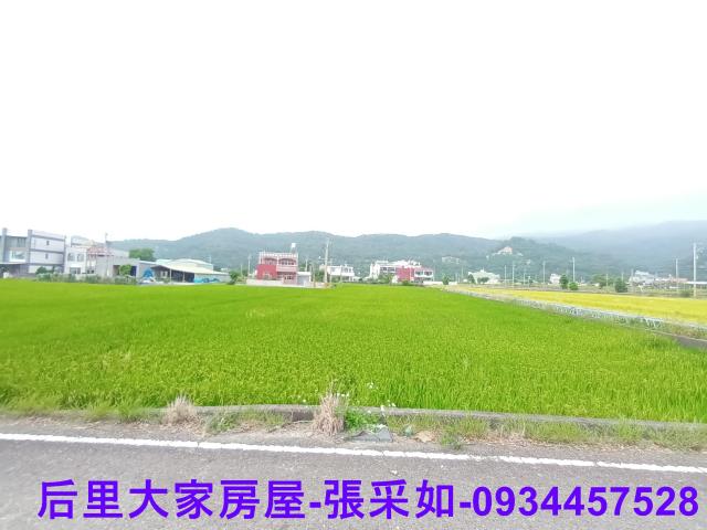 苗栗苑裡農地-4