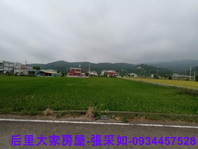 苗栗苑裡農地-5