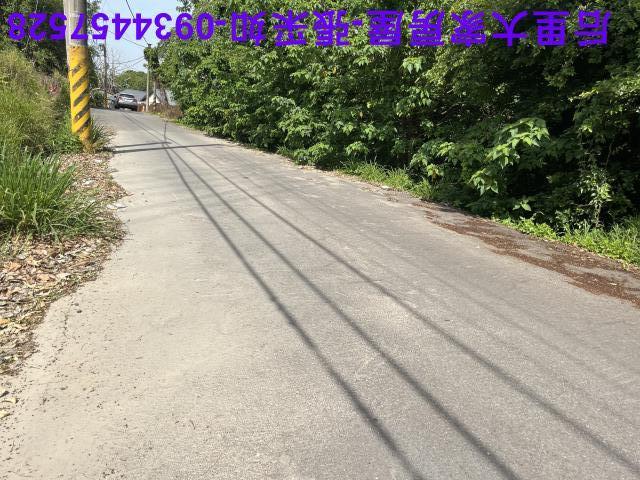 台中后里農地-3