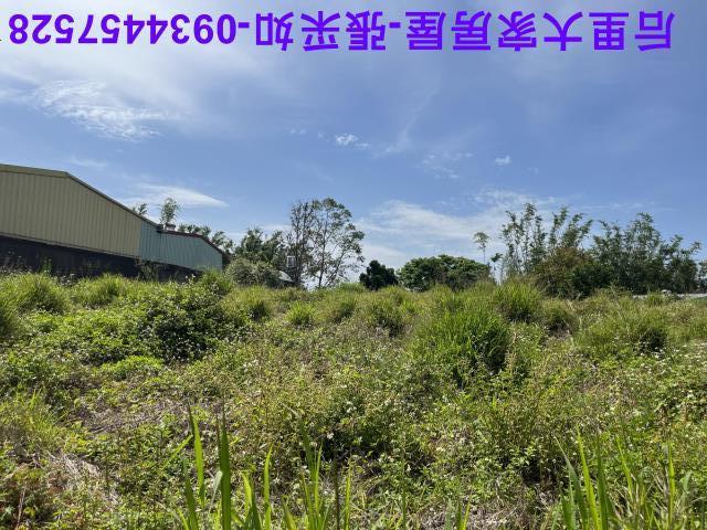 台中后里農地-5