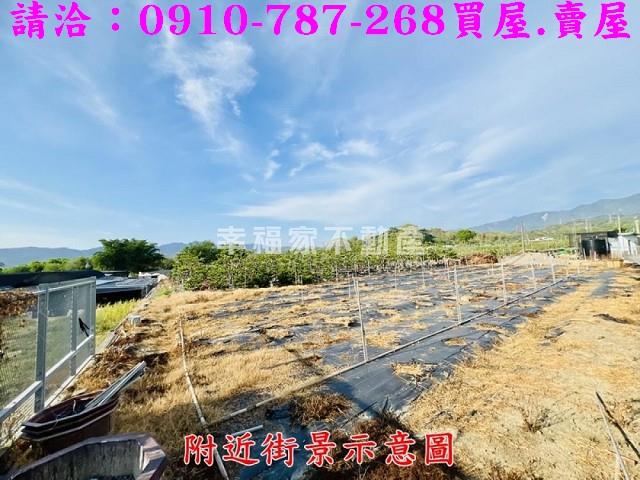 台南楠西農地-8