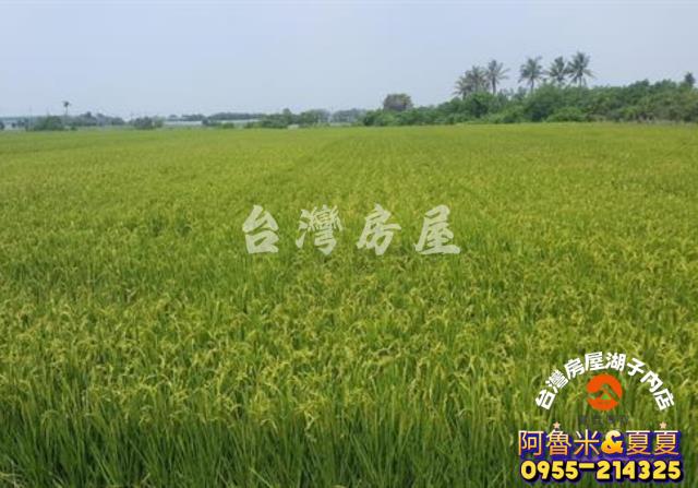 嘉義阿魯米建地農地買賣台灣房屋嘉義湖子內店富鑫團隊呂昆佩