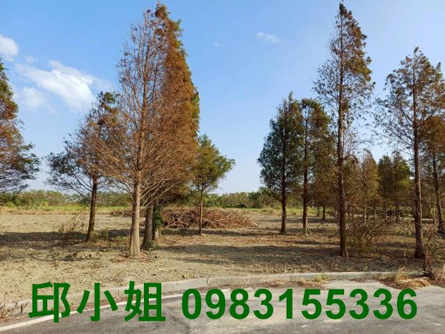 嘉義買房賣房房地合一稅建地農地