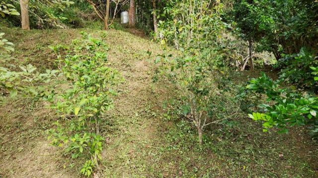 新竹北埔山坡地-8