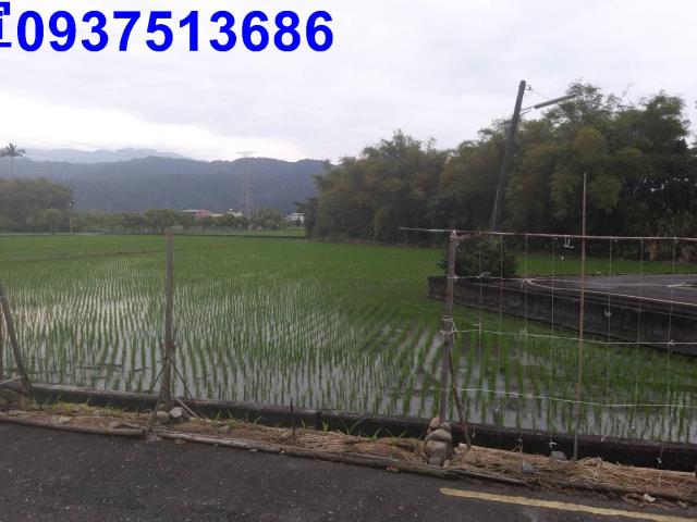 宜蘭縣員山鄉鼻仔頭段農地出售