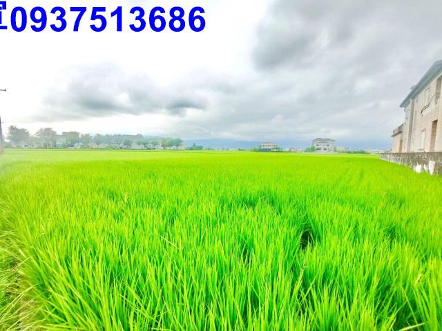 宜蘭宜蘭市農地-1