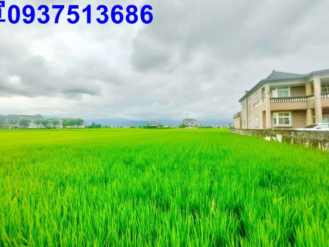 宜蘭宜蘭市農地-3