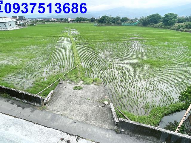 宜蘭礁溪農地-3