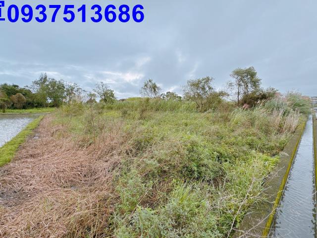 宜蘭宜蘭市農地-12