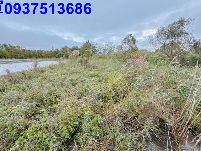 宜蘭宜蘭市農地-13