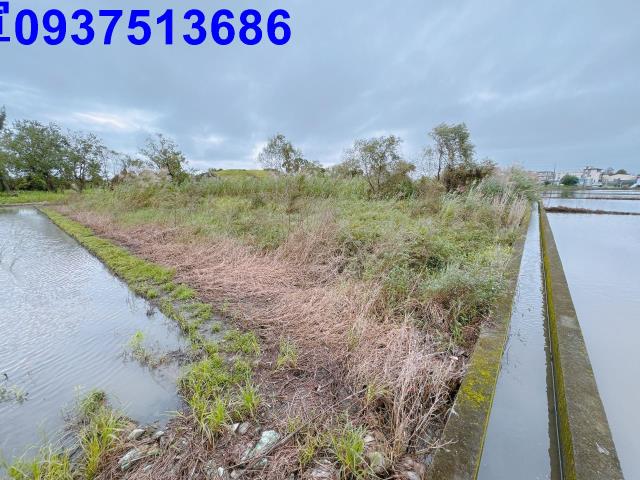 宜蘭縣宜蘭市珍珠段農地出售