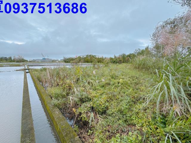 宜蘭宜蘭市農地-5