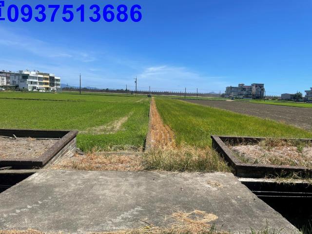 宜蘭縣壯圍鄉新南段農地出售