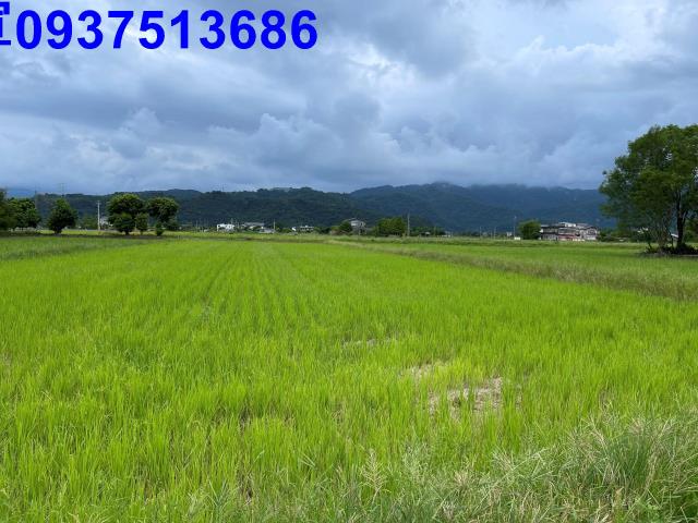 宜蘭三星農地-1