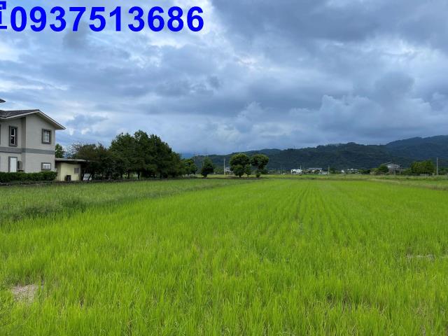 宜蘭三星農地-3