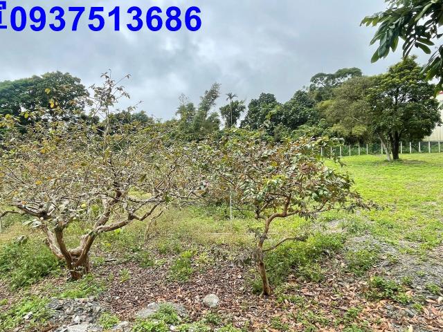 宜蘭頭城工業地-12