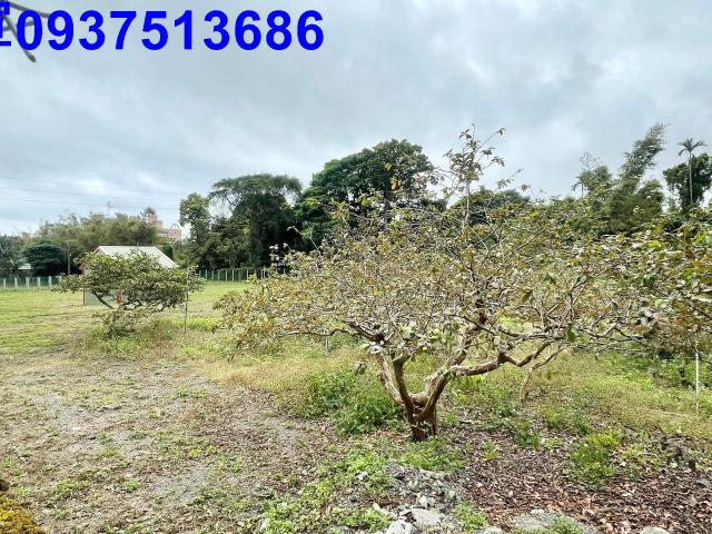 宜蘭頭城工業地-13