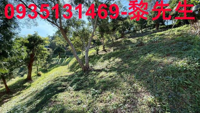 新竹峨眉農地-2