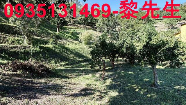 峨嵋土地峨眉農地