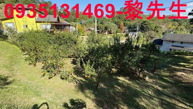 新竹峨眉農地-6