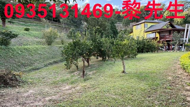 新竹峨眉農地-8