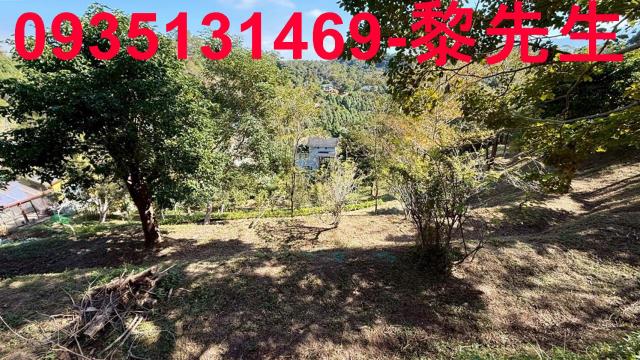 新竹峨眉農地-10