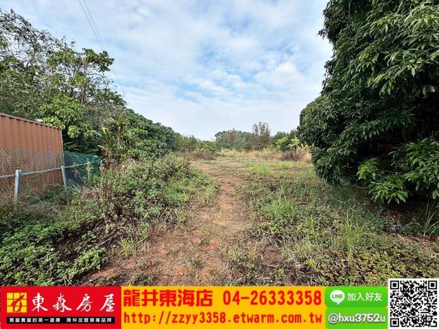 西屯農地-0
