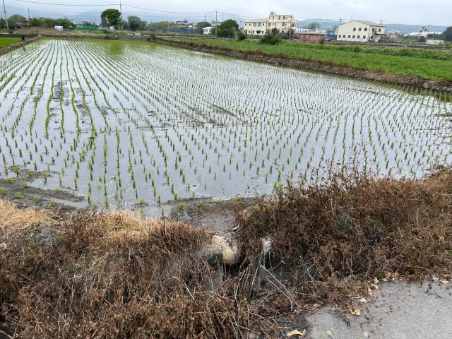 台中農地-5