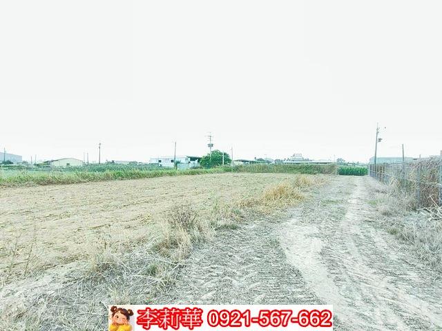 台南農地-10