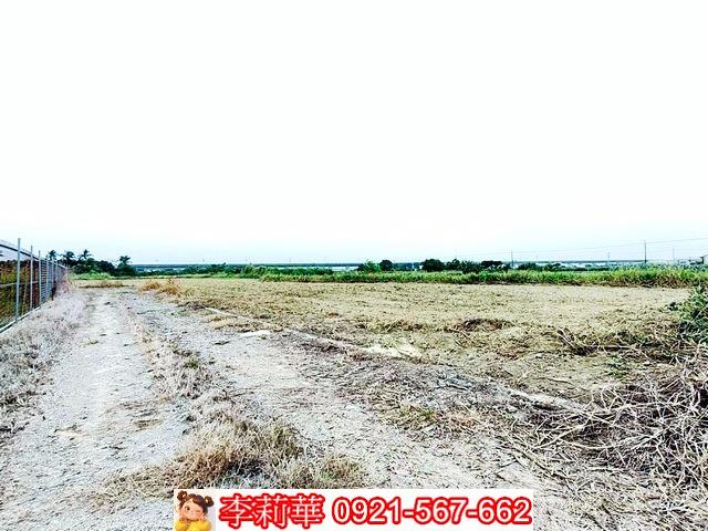 台南農地-11