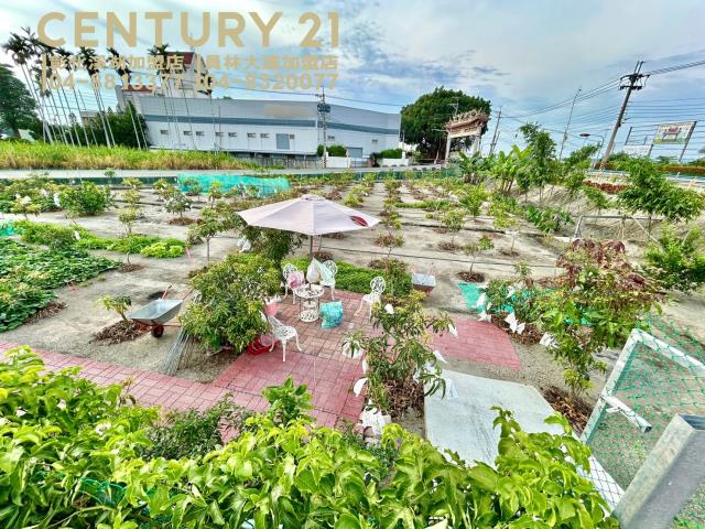 彰化大村農地-9